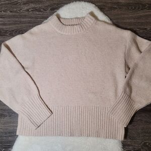ACW Oversized Sparkle Sweater in Oatmeal Sz M
